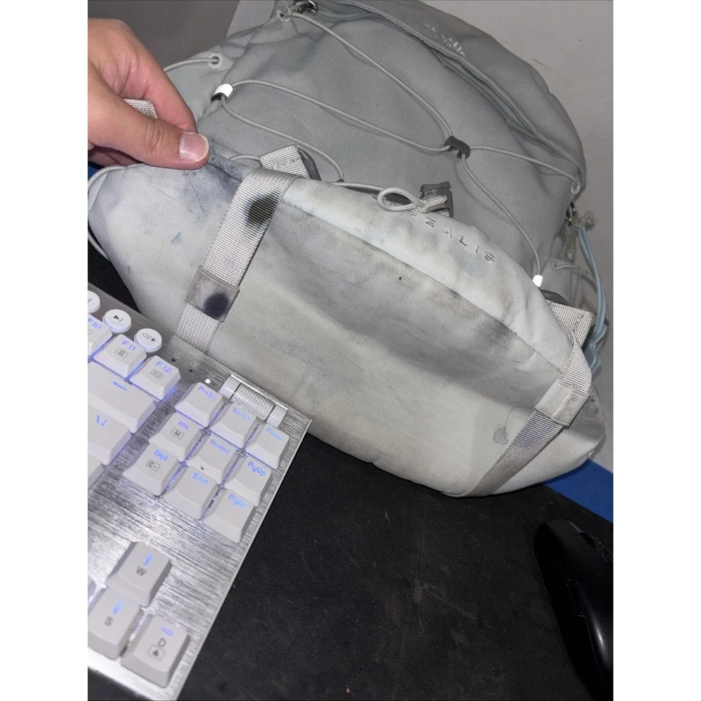 The North Face Borealis Backpack Stains 17